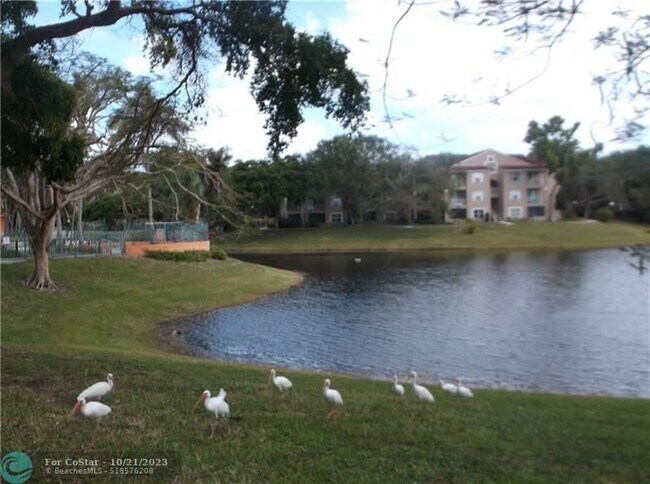 Building Photo - 1845 Palm Cove Blvd
