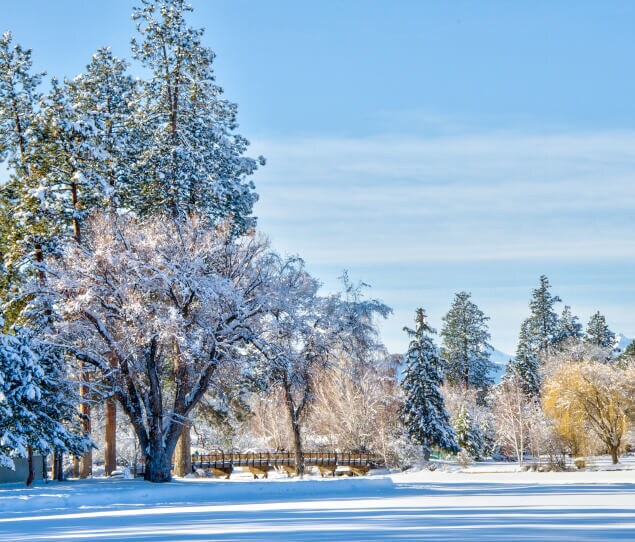 Mirror Pond in winter