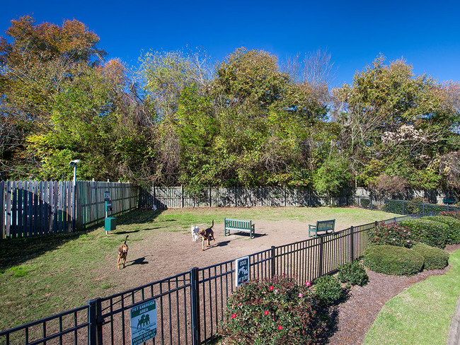 Parque para perros en Holly Point Apartments - Holly Point