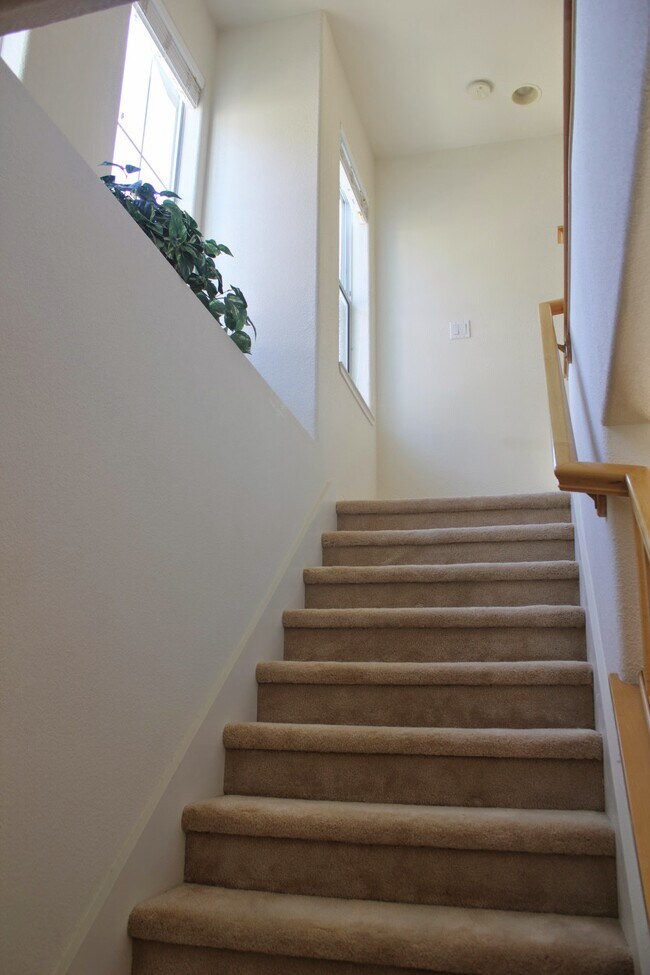 Building Photo - 3269 Vineyard Park Way