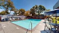 Located at 1130 E 3rd Avenue in Oakland, California, this well-appointed outdoor amenity space centers around a generously sized swimming pool with crystal-clear turquoise water. The pool deck is lined with a row of lounge chairs, providing ample space for sunbathing beneath the open California sky. Adjacent to the pool, a bubbling hot tub offers a dedicated space for relaxation, framed by modern landscaping that includes ornamental grasses, colorful cordyline, and potted plants that add vibrancy throughout the area. A raised hardwood deck platform serves as an outdoor dining and lounge zone, furnished with bar-height tables, chairs, and shade umbrellas in a deep navy blue — perfect for casual gatherings. Natural wood privacy screens and low concrete planters define the space, lending a clean, contemporary aesthetic that complements the surrounding mature trees, which provide a lush green backdrop. The grounds are thoughtfully landscaped with a mix of decorative rock beds and curated plantings, creating a resort-like atmosphere. Access to the pool area is provided through glass-panel doors from an adjacent building, reinforcing the seamless indoor-outdoor connection. The entire space benefits from abundant natural light and open sky, making it an inviting outdoor retreat.