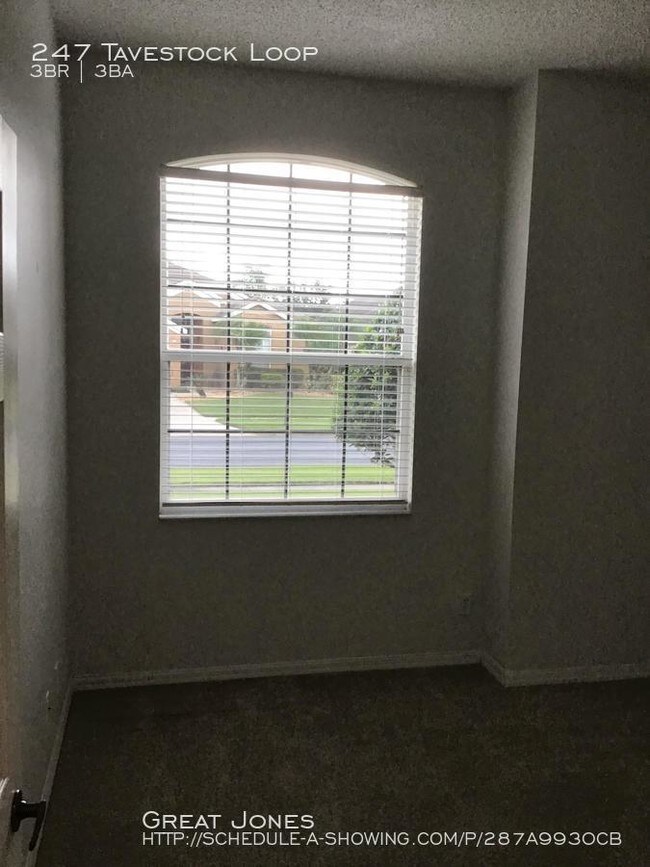 Building Photo - 247 Tavestock Loop