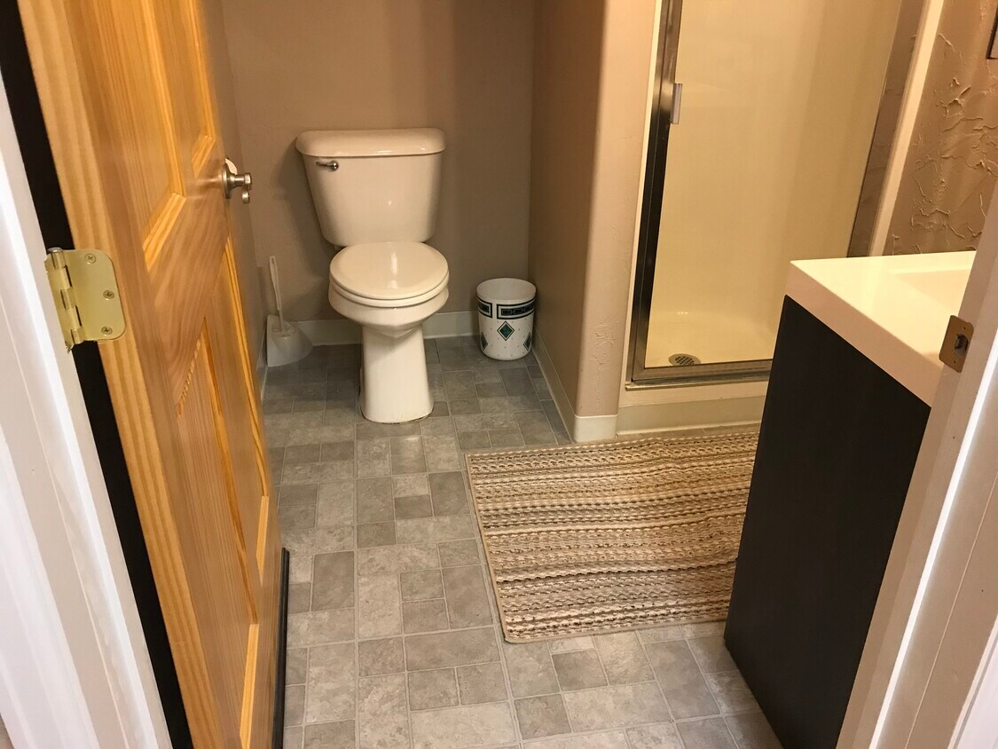 1081 Main St Unit A, Minturn, CO 81645 Apartments in Minturn, CO