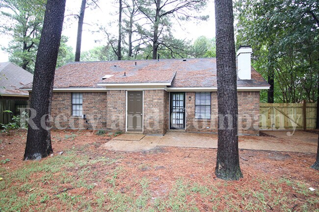 Building Photo - 4523 Sandy Park Dr