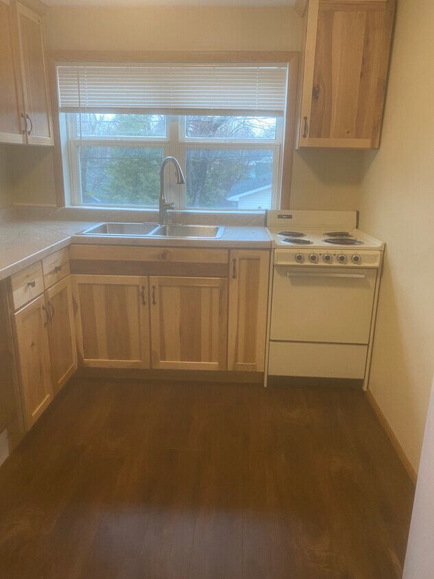 1418 Irvine Ave NW, Bemidji, MN 56601 Townhome Rentals in Bemidji MN