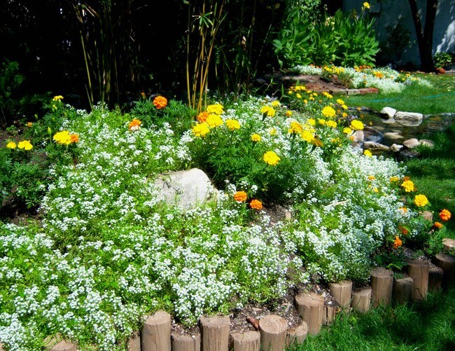 Foto del edificio - 231 W Providencia Ave