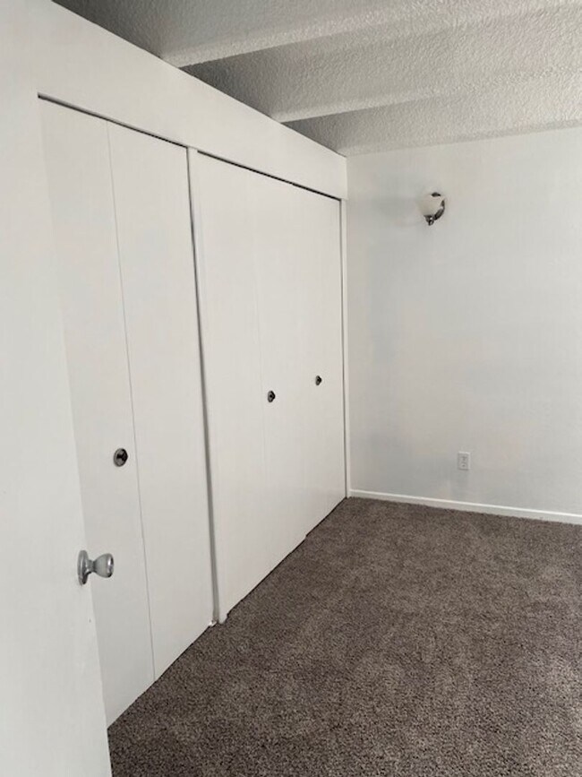 Foto del edificio - Newly remodeled 1-bedroom apartment near DU