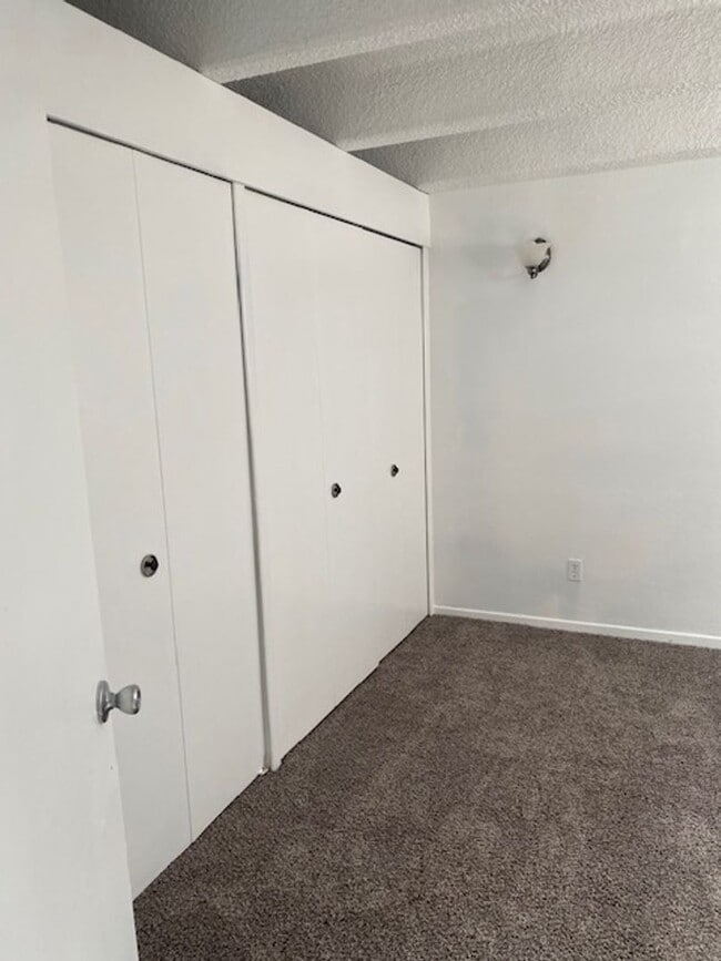Building Photo - Newly remodeled 1-bedroom apartment near DU