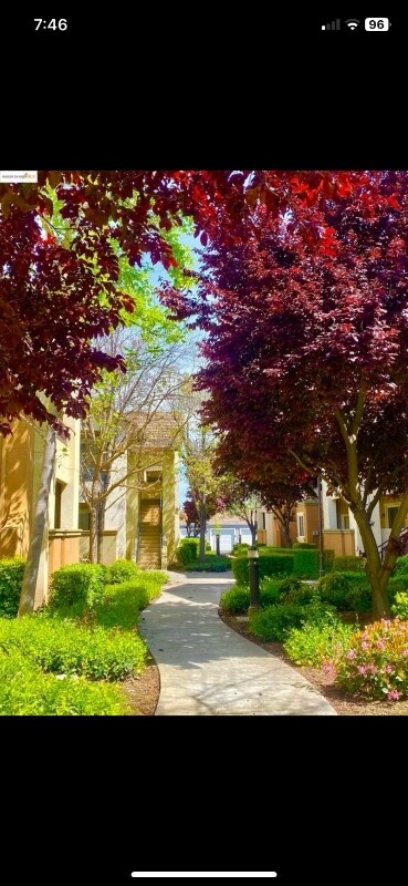 Foto del edificio - 1360 Shady Ln