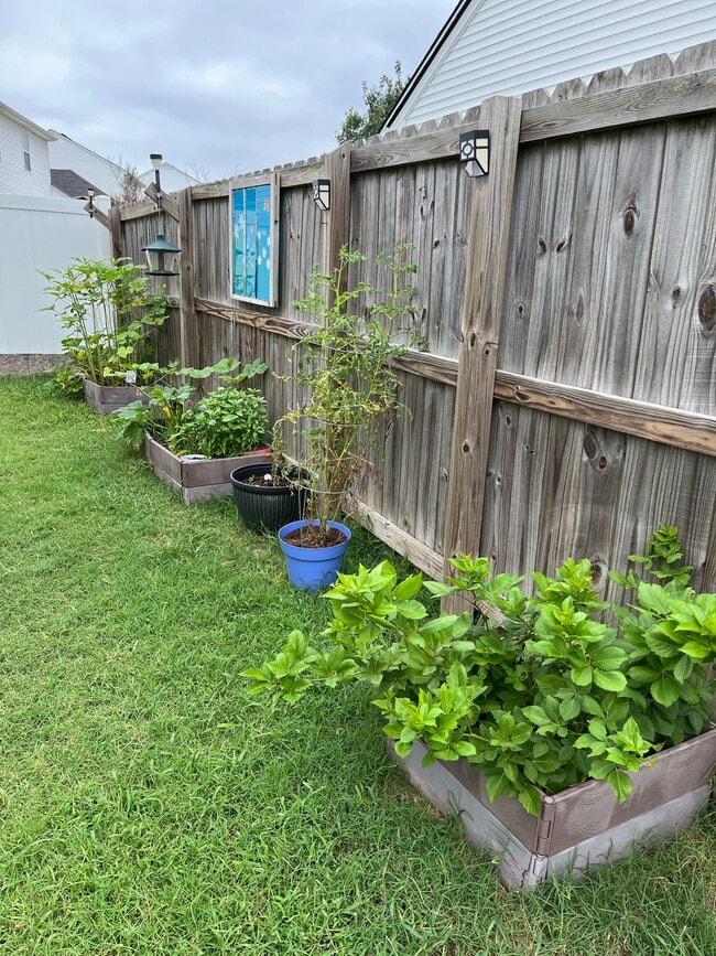 Building Photo - 800 Chilhowee Ct