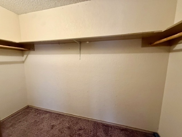 Building Photo - 6304 Quaker Ave