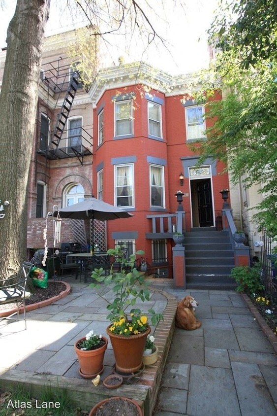 Primary Photo - 1017 Massachusetts Ave NE