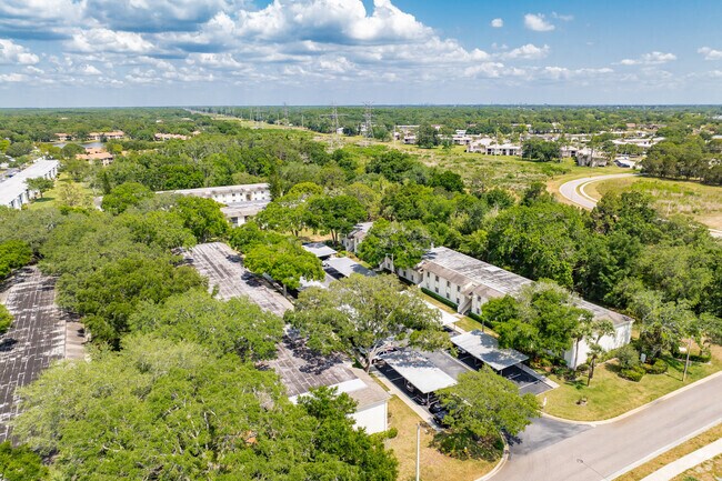 101-260 Palmetto Ct Oldsmar, FL - East Lake Woodlands Cypress Estates  East Lak