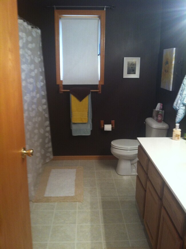 Guest Bathroom - 309 Evergreen Dr