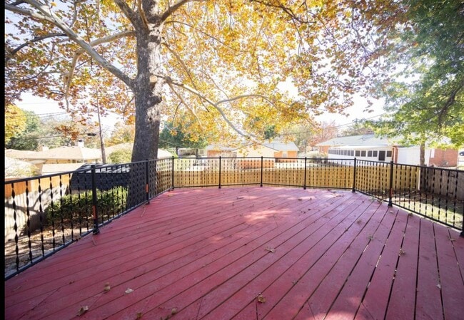 Back deck - 109 N 10th St