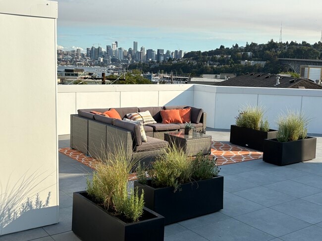 Rooftop Lounge & Planters - The Harp