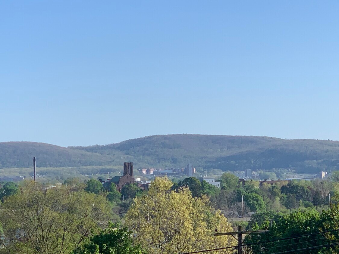 Views of Suny Binghamton less than 10 min - 56 Louise St