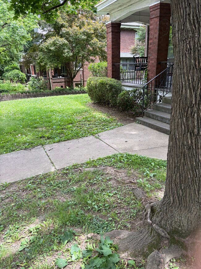 Front yard - 77 E Northwood Ave