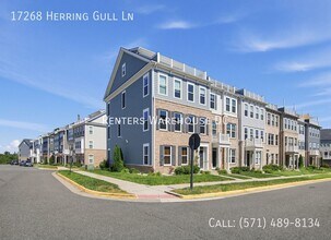 Building Photo - 17268 Herring Gull Ln