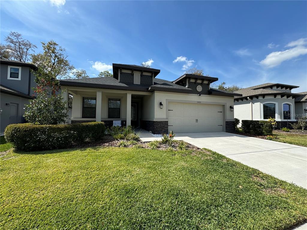 11433 Crowne Pointe St, New Port Richey, FL 34654 House Rental in New