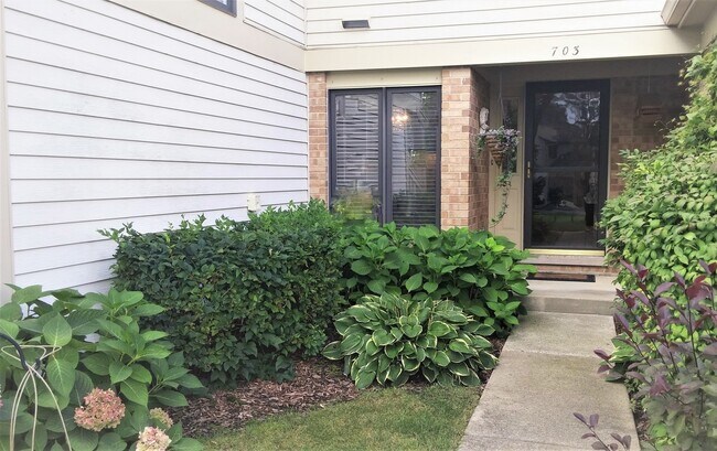 Building Photo - 703 Ascot Ct