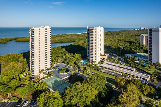 Aerial Photo - Heron at Pelican Bay