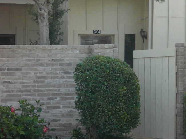 Building Photo - 3104 Windchase Blvd