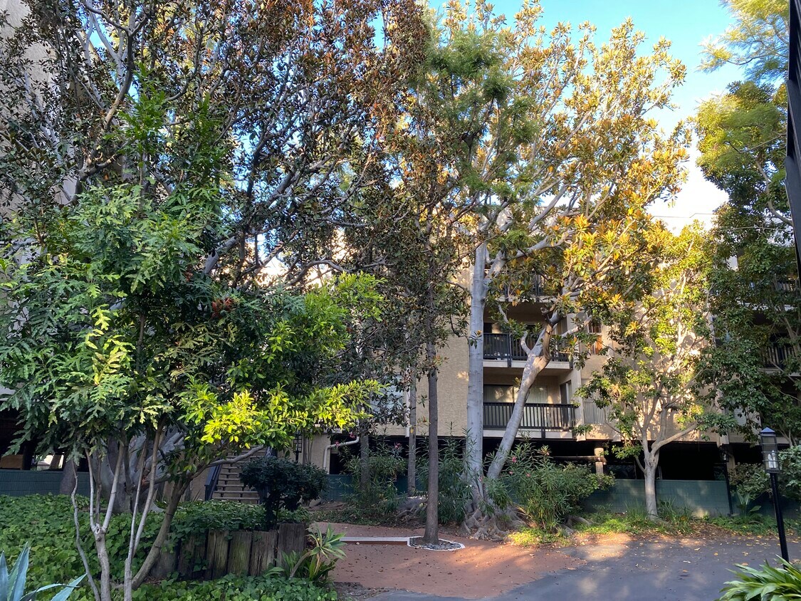 5321 Raintree Cir Unit 1, Culver City, CA 90230 Condo for Rent in