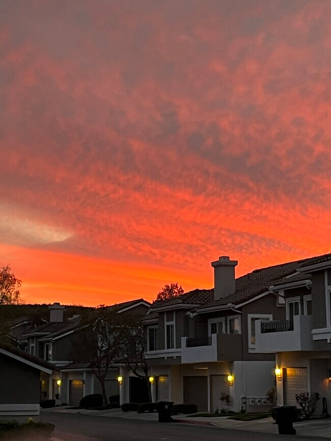 Foto del edificio - 1031 S Daybreak Ct