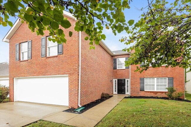 Building Photo - 4852 Nina Marie Ave