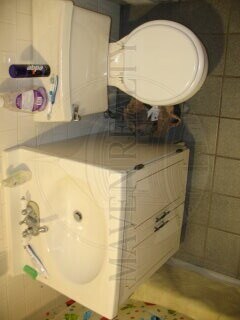 Building Photo - 27 Warner St