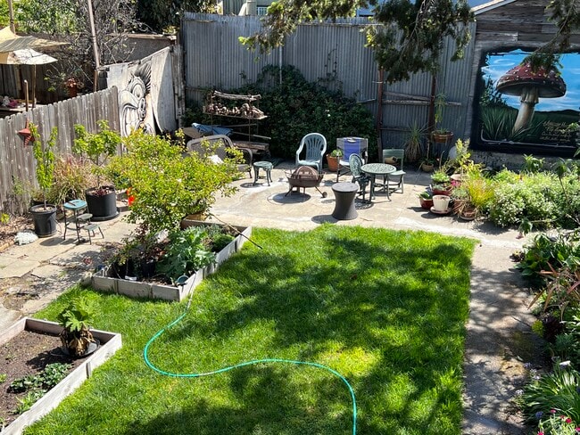 Back Yard - 3246 Magnolia St