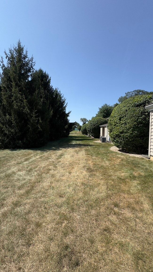 Backyard - 5 Evergreen Dr