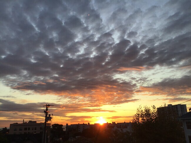 Foto del edificio - 3009 3rd St