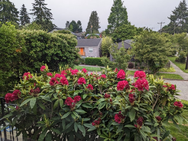 Building Photo - 6002 37th Ave SW