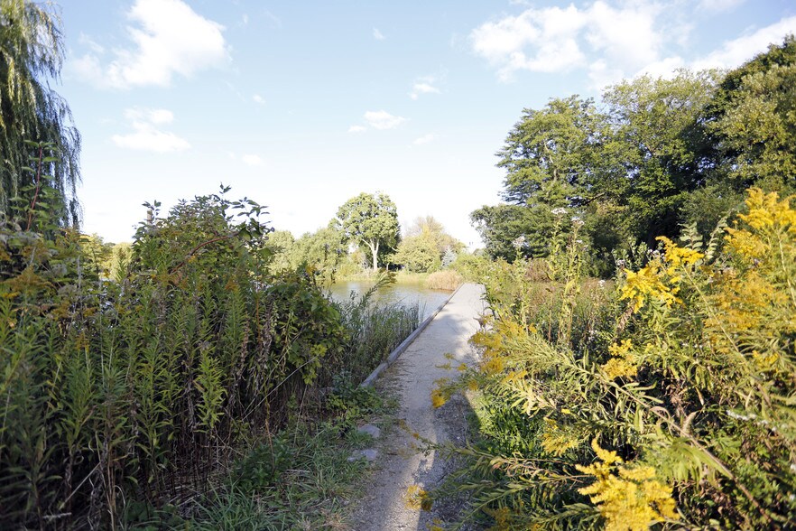 Picture of Hyde Park Chicago