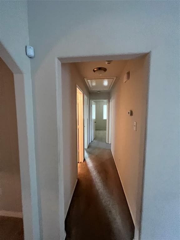 16302 Bantam Ridge Ct, Houston, TX 77053 House for Rent in Houston