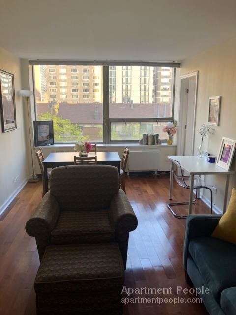 Foto del edificio - 1355 N Sandburg Terrace