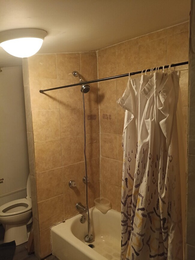 Foto del edificio - 539 W Maple St