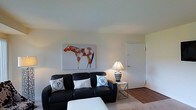This single-floor space features a compact yet comfortable living room as its centerpiece. The room is defined by smooth, neutral-toned walls and a clean white ceiling that together create a bright, airy atmosphere. Flooring transitions from hardwood near the entryway to a soft area rug beneath the seating area, adding texture and warmth to the space.

A dark leather sofa serves as the focal point of the living area, dressed with decorative throw pillows for added comfort. A small metallic side table sits adjacent to the sofa, topped with a classic table lamp that provides warm ambient lighting. A bold canvas artwork depicting a painted horse adds a distinctive visual element to the wall above the sofa, giving the room a touch of personality.

A white door is visible along the right wall, offering access to an adjacent area or entry point. The overall layout is straightforward and functional, making efficient use of the available space. The combination of neutral walls, warm lighting, and carefully chosen furnishings gives the living area a cozy, lived-in feel suitable for everyday relaxation.