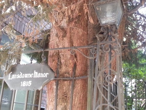 Foto del edificio - Lansdowne Manor - 1 bedroom