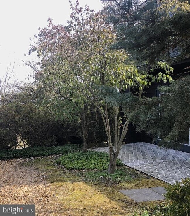 Building Photo - 8376 Meadows Rd