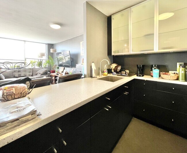 Foto del edificio - High Floor Studio with Fabulous Views of the Loop FOR RENT!