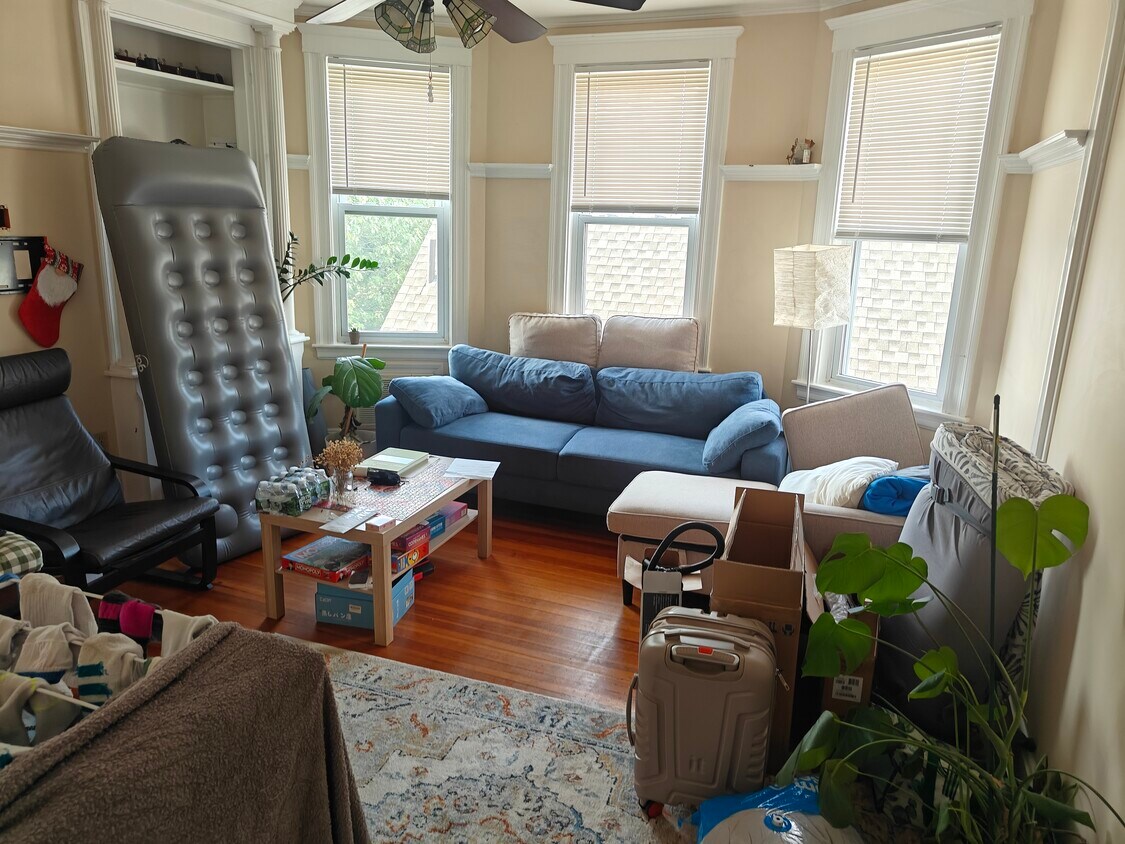 Foto principal - 33 Shannon St