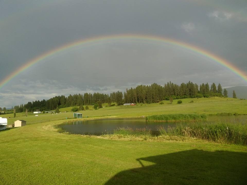 257 Pleasant Valley Rd, Clearwater, ID 83552 House Rental in