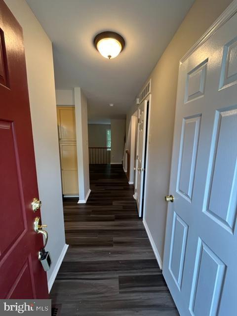 Foto del edificio - 1049 Wingate Ct