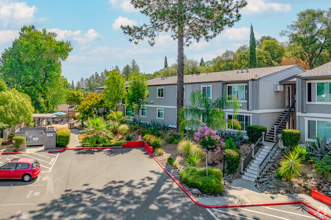 Building Photo - The Overlook Apartments