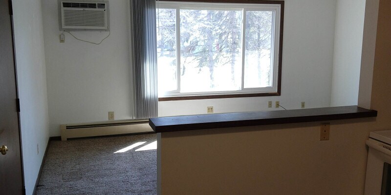 Primary Photo - 219 W Waupun St