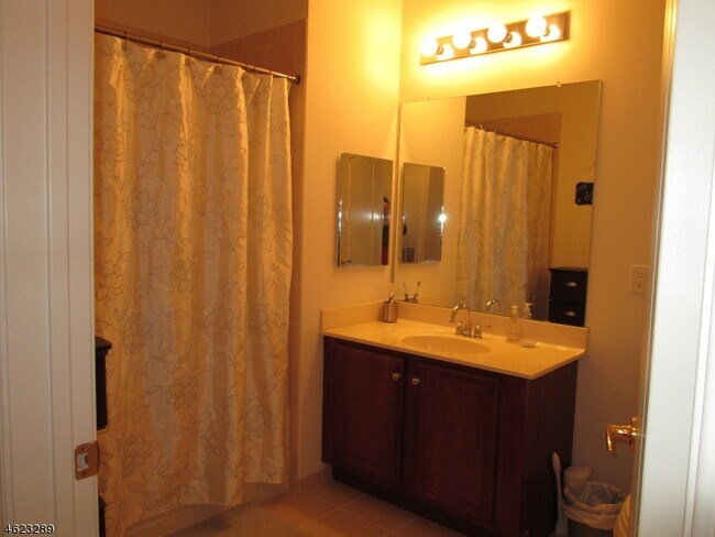 BAÑO COMPLETO CON BAÑERA Y DUCHA - 2411 Ramapo Ct