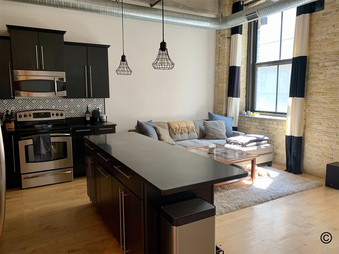 239 E Chicago St Unit 206, Milwaukee, WI 53202 Condo for Rent in